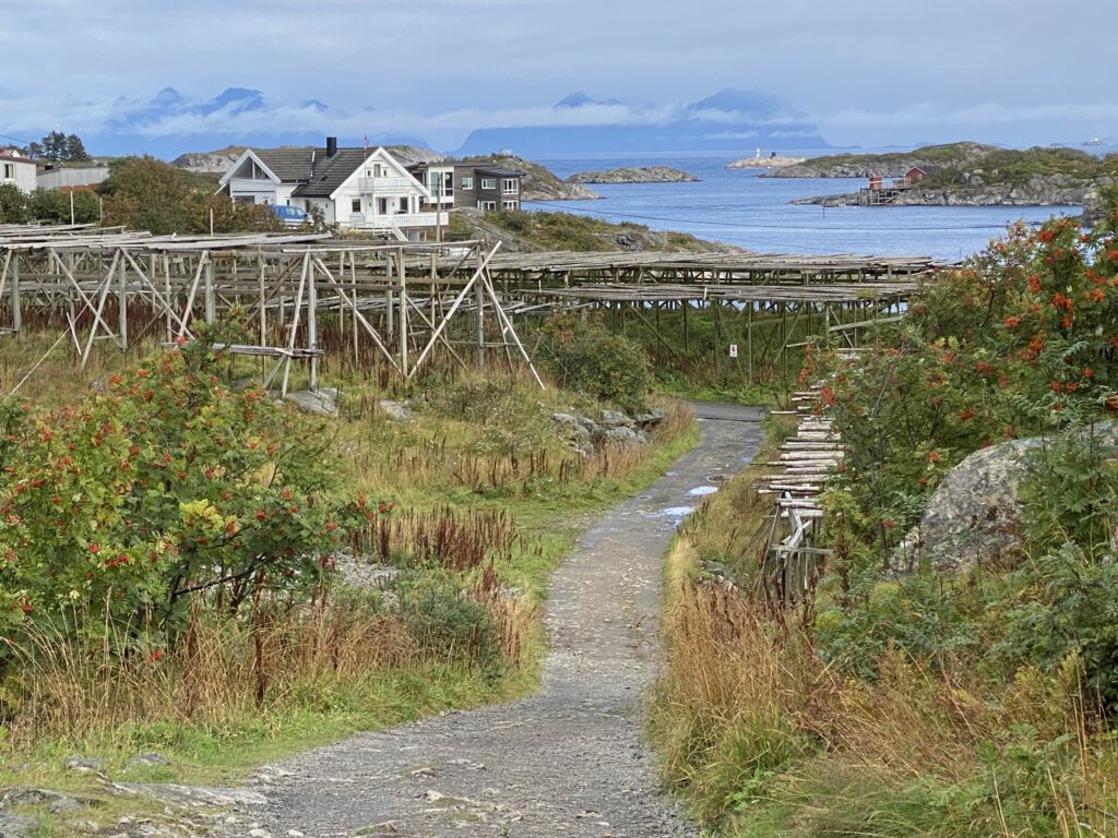 Stockfisch in Hennigsvær