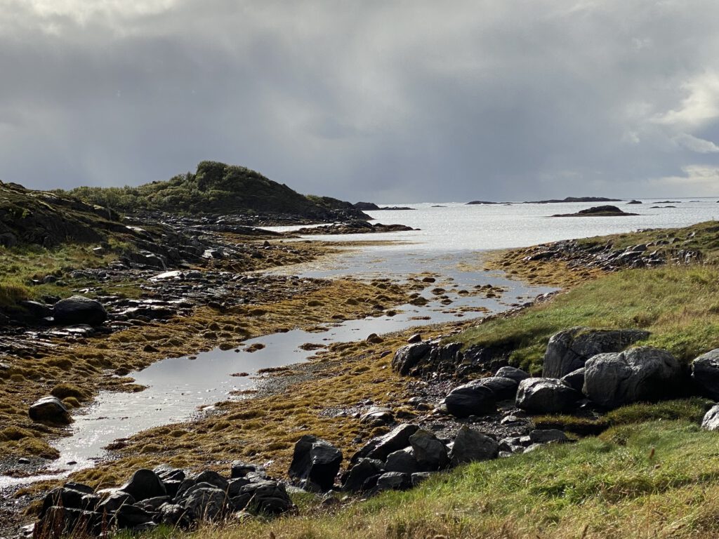 Küste von Gimsøy