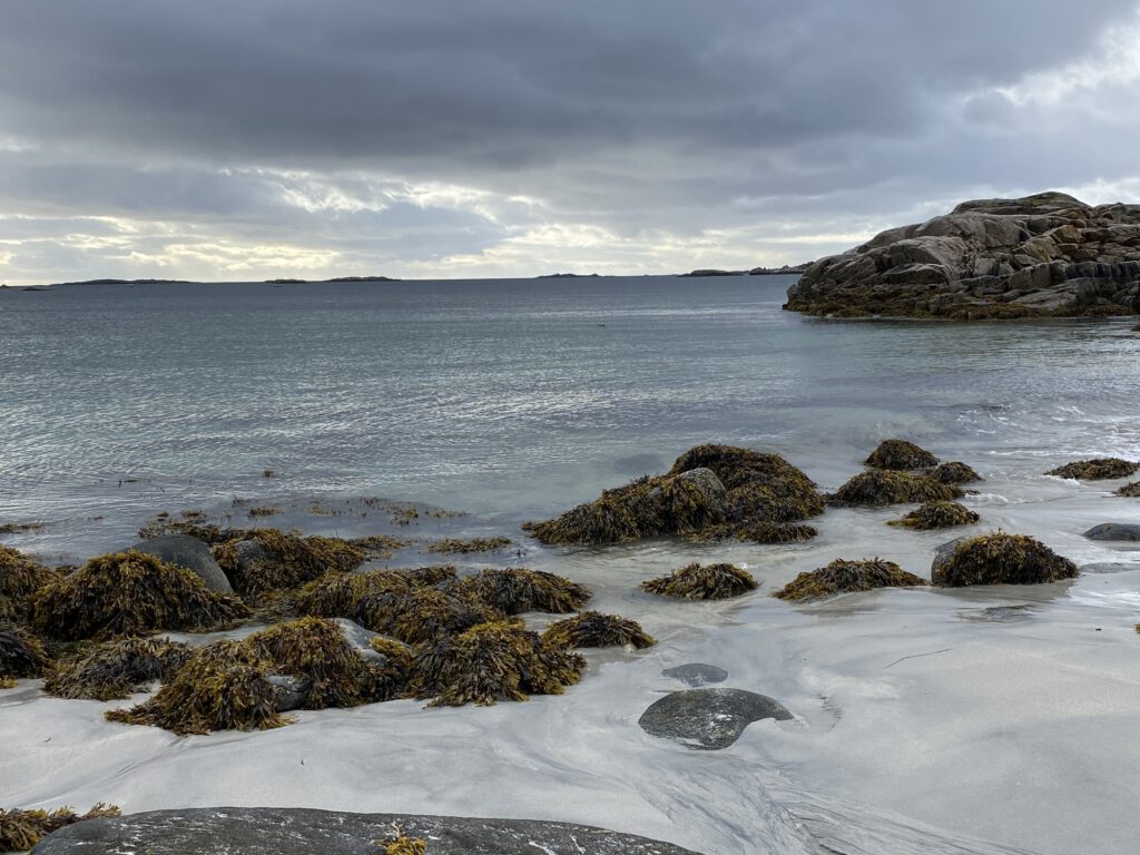 Meer in grau-blau Tönen