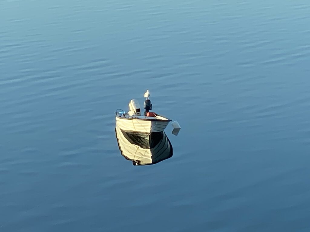 Boot und Möwe im Sonnenaufgang