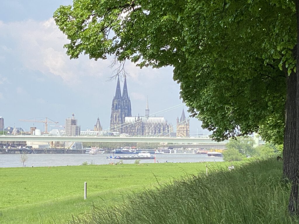 Aller Wiesen Dom Domblick Rhein Severinsbrücke Schiffahrt 