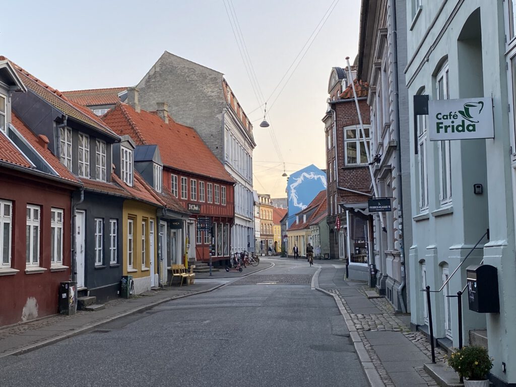 Cafe Frida Århus