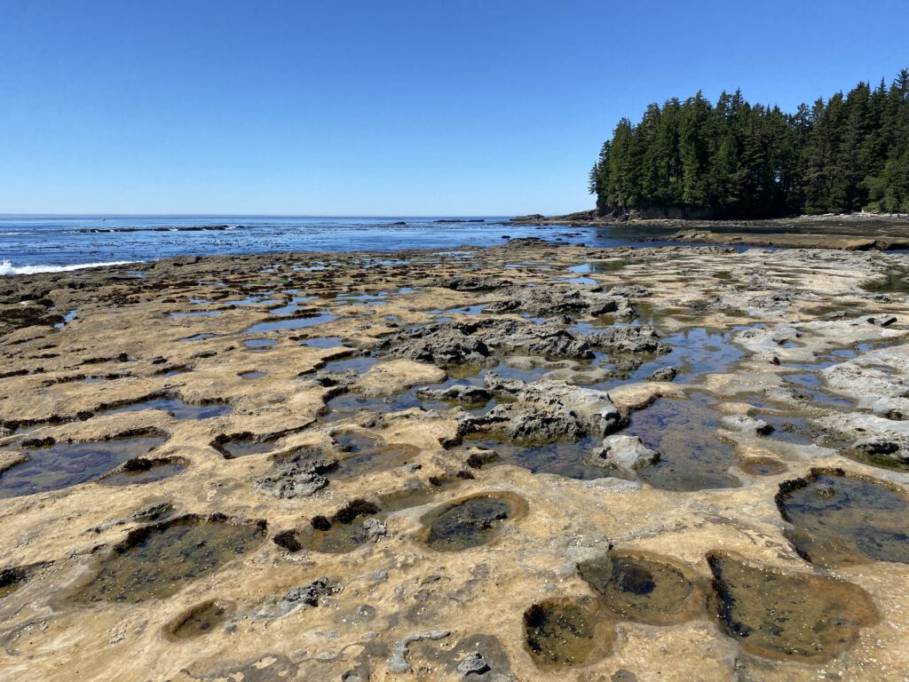 Botanical Beach mit Pools
