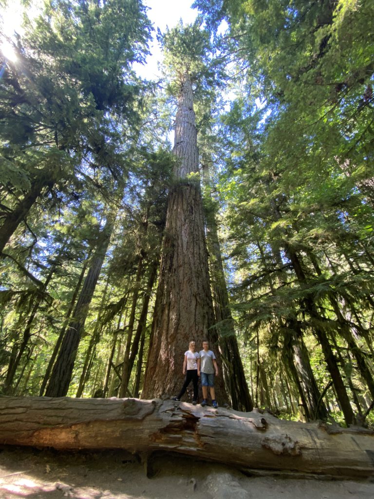 Cathedral Trail 
