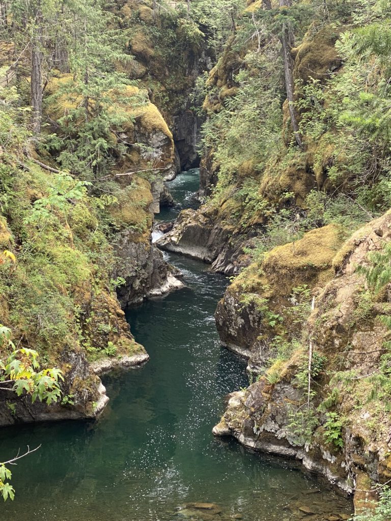 Schlucht im Little Qualicum Falls Provincial Park