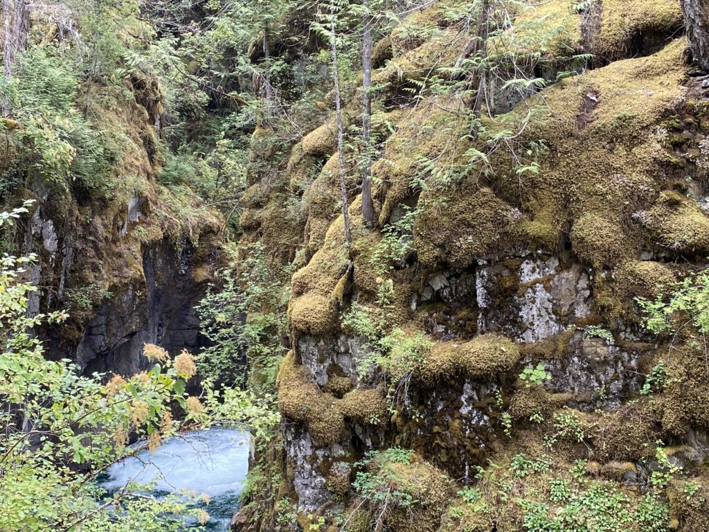 Little Qualicum Falls Provincial Park