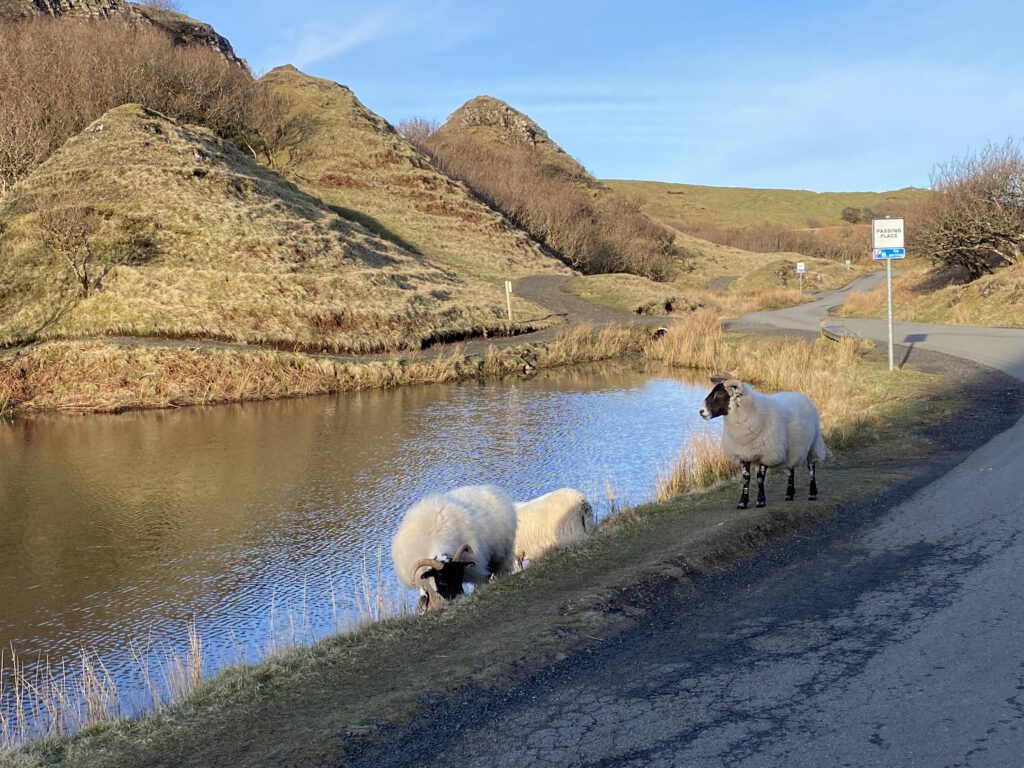 Fairy Glen Tal der Feen Sheader Road Uig Sonnenaufgang Castle Ewan Hügellandschaft verwunschen Isle of Skye Schottland Highlands Schafe Passing Place