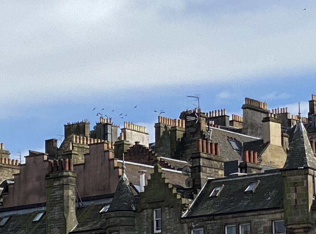 Schornsteine der Altstadt von Edinburgh