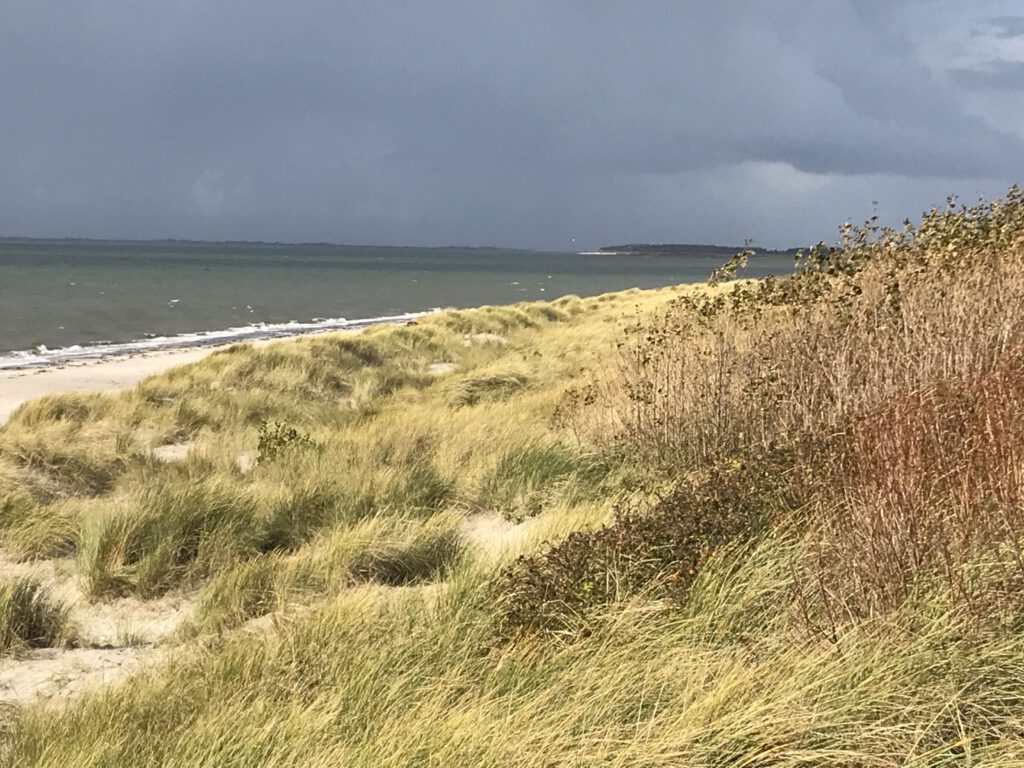 Goting Kliff Niebüll Föhr Insel Nordsee Meer Strand