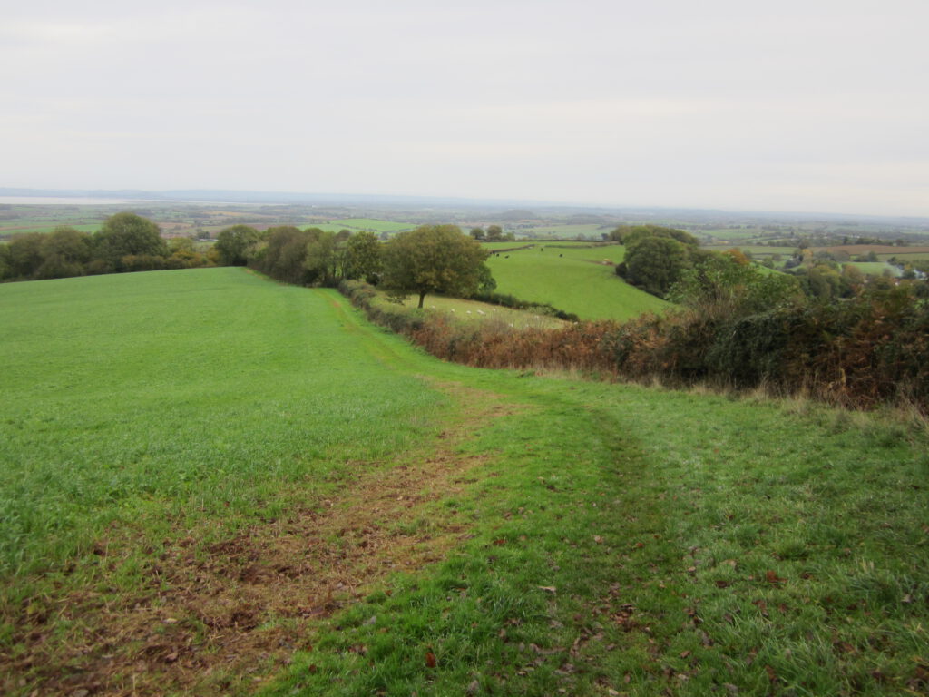 Wanderweg Coleridge Way mit Blick auf den Bristol Channel