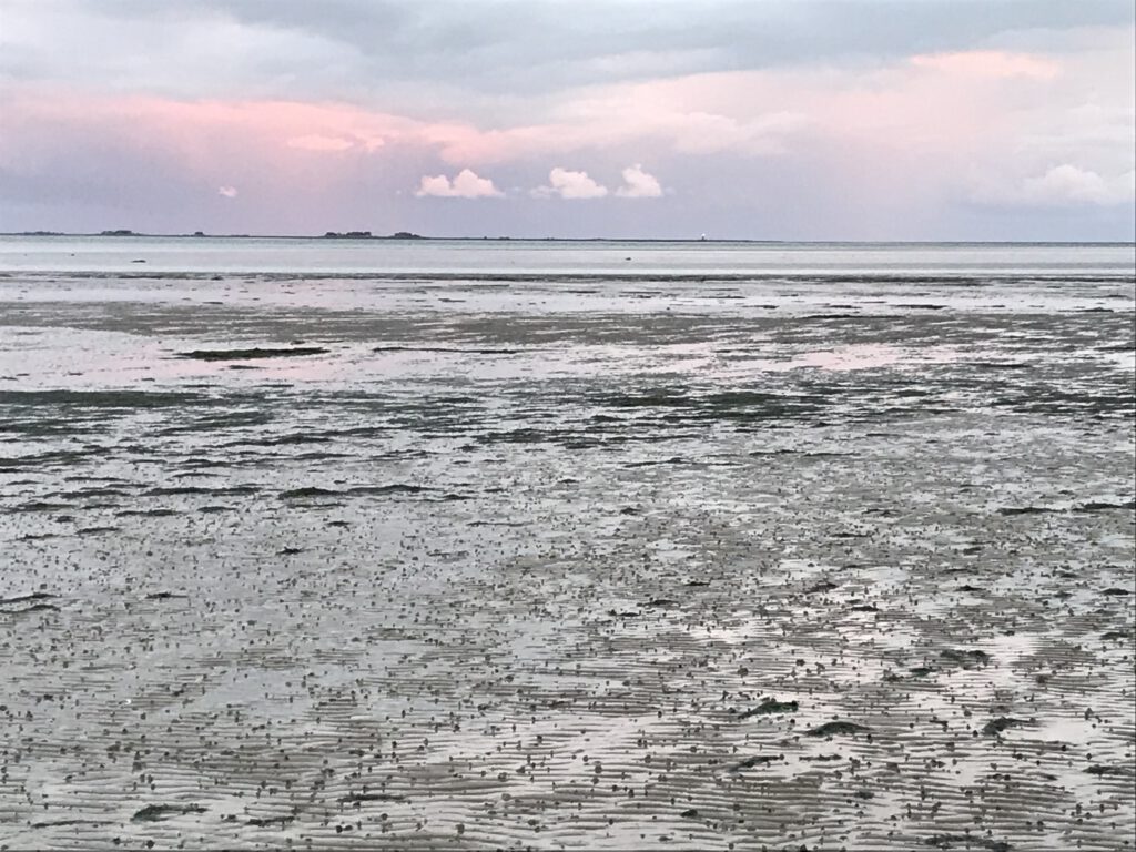 Watt Südstrand Wyk auf Föhr Hallig Hooke Langeneß Sonnenuntergang