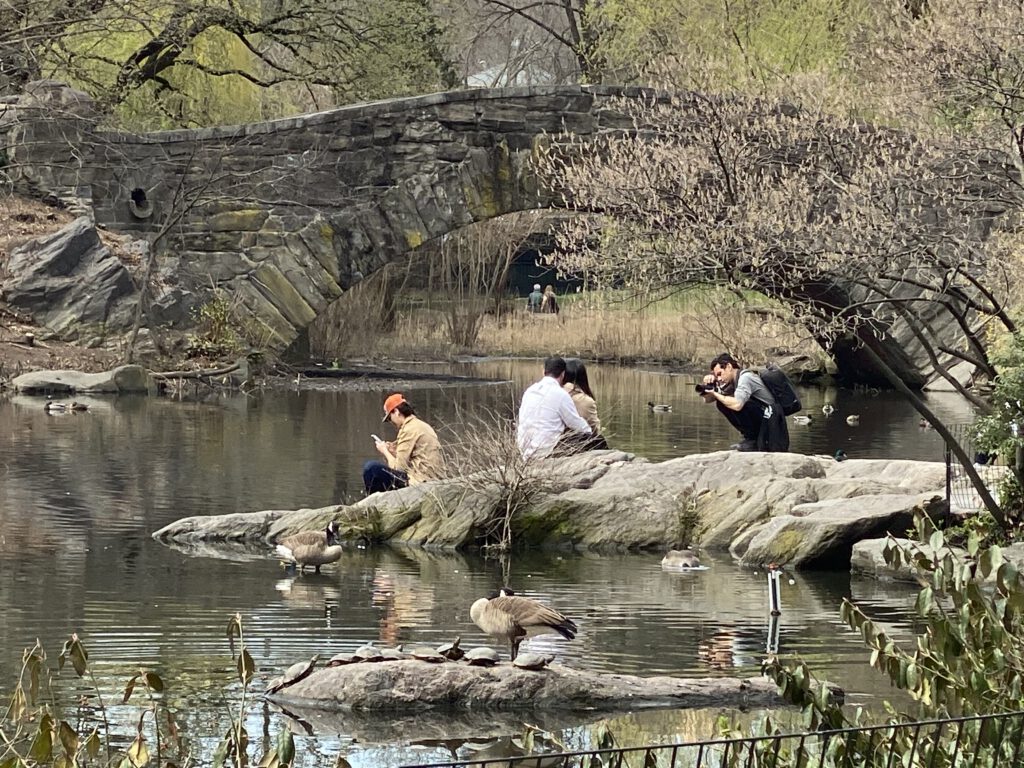 Central Park Manhattan New York City