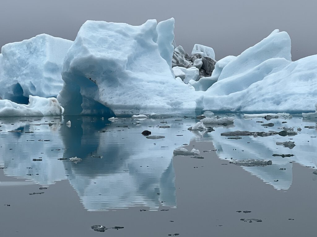 Eisberge im Jökulsarlon mit Seehund