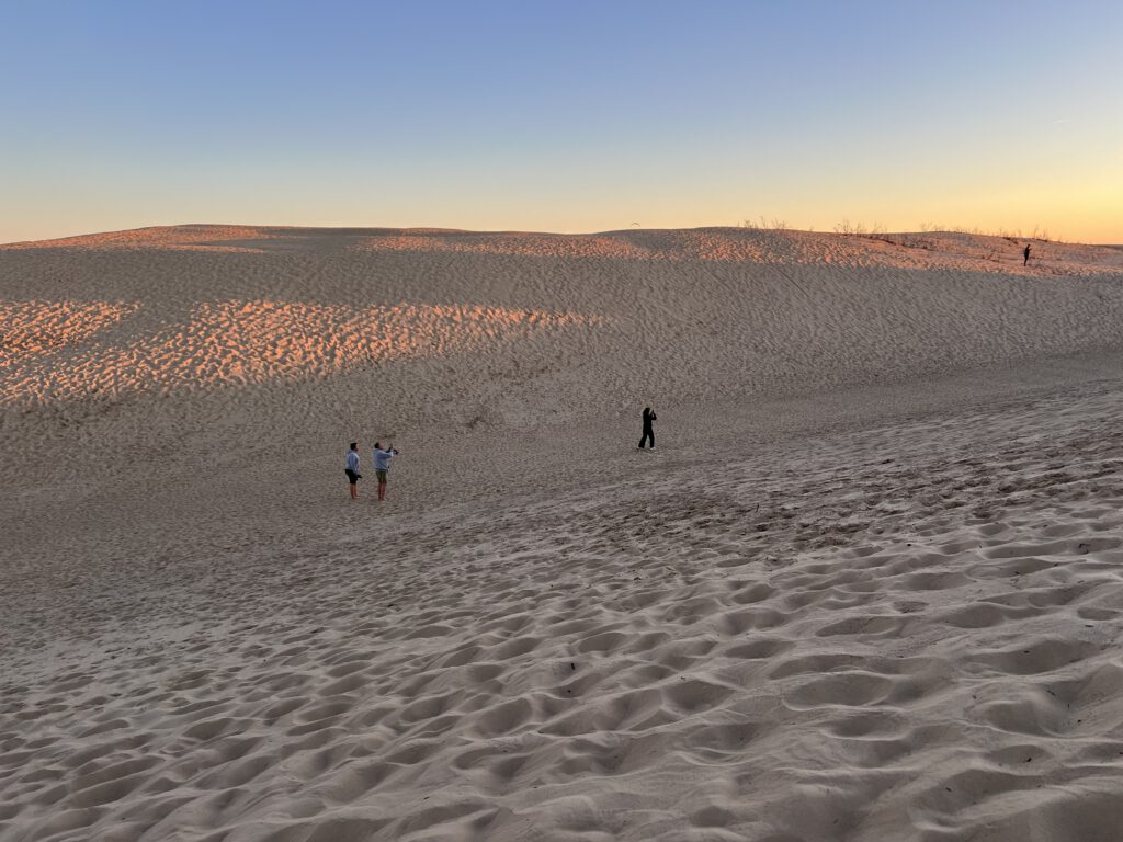Düne bei Rubjerg Knude