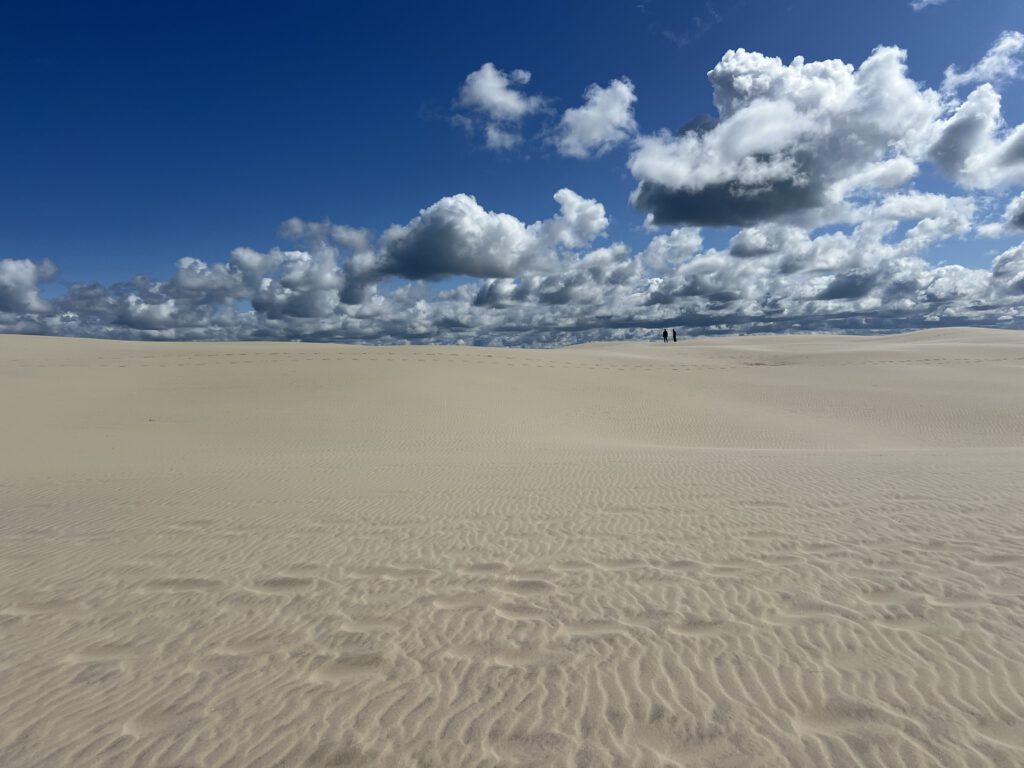  Råbjerg Mile