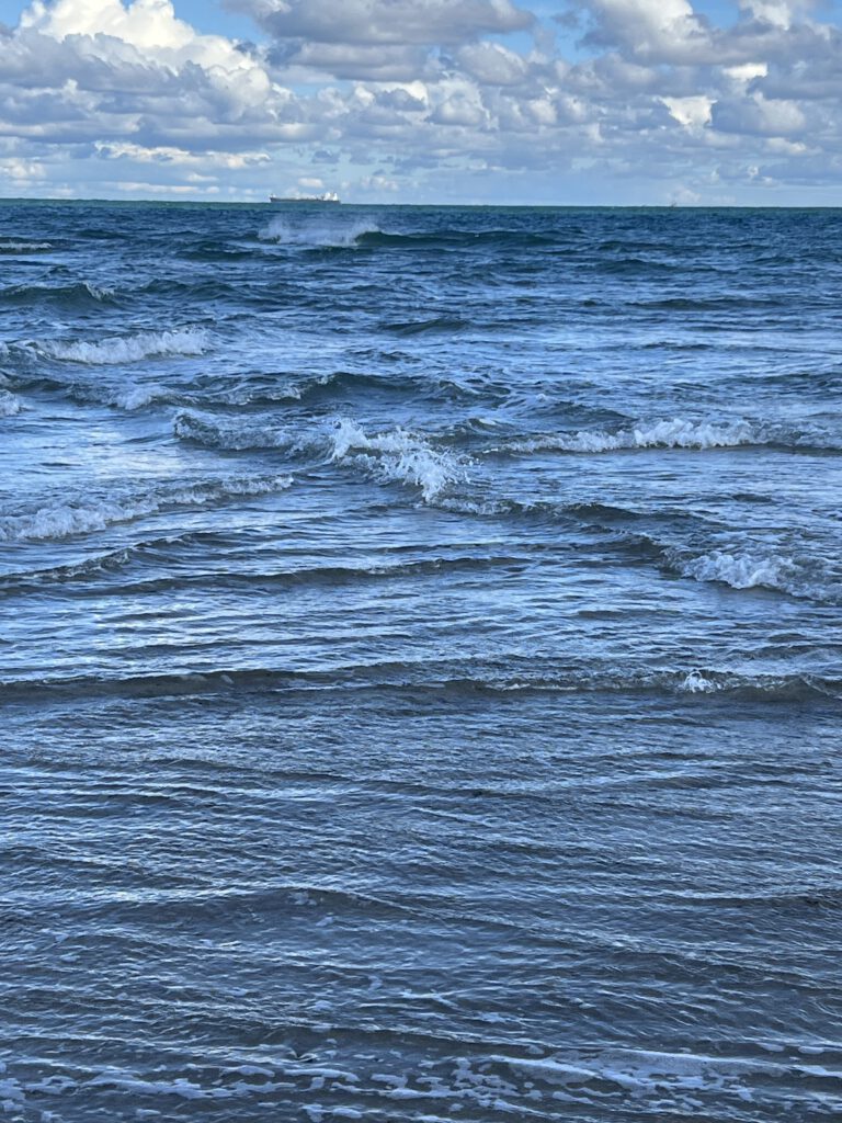 Grenen
