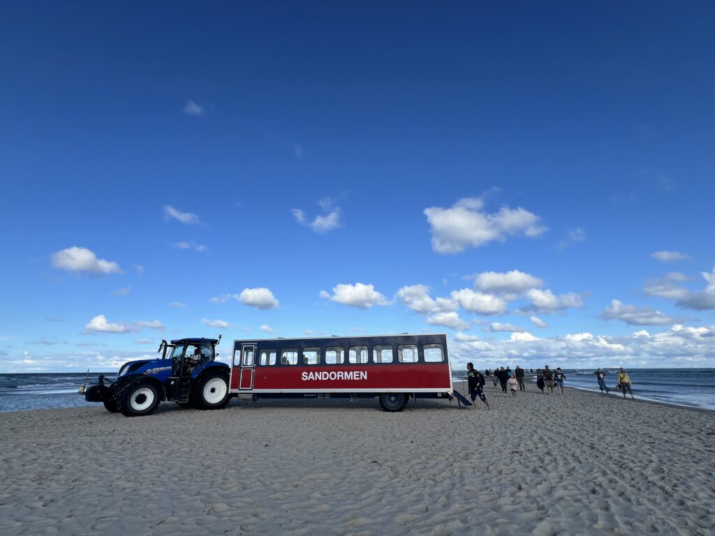 Sandormen in Grenen