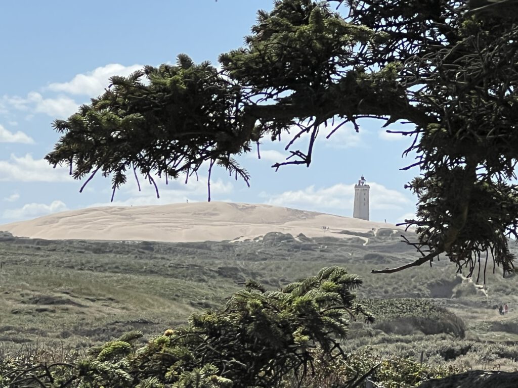 Blick auf Rubjerg Knude Fyr von Mårup Kirke