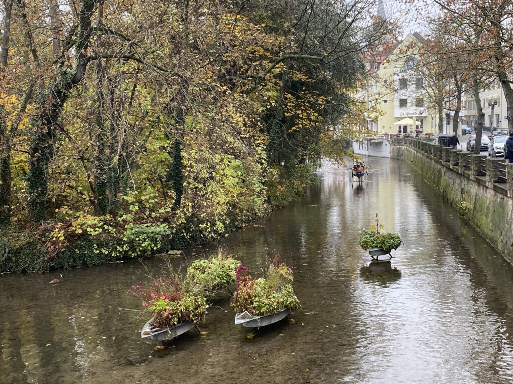 "Pflanz-Schiffe" auf der Gera in Erfurt