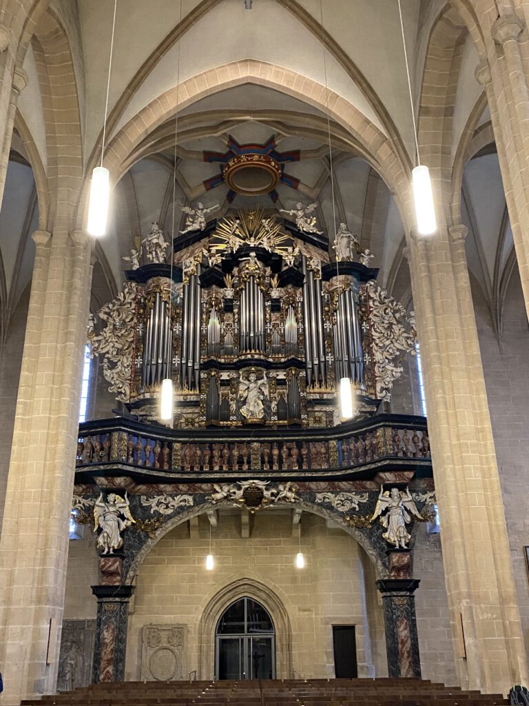 Orgel der Severikirche