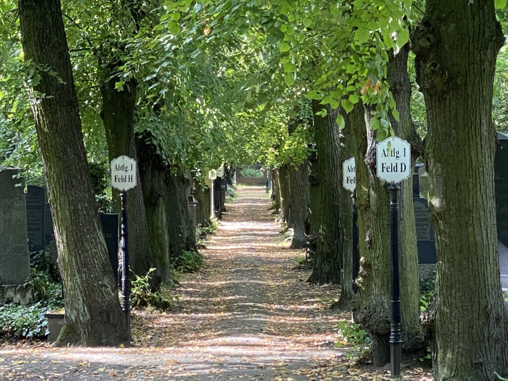 Allee auf dem jüdischen Friedhof Weißensee