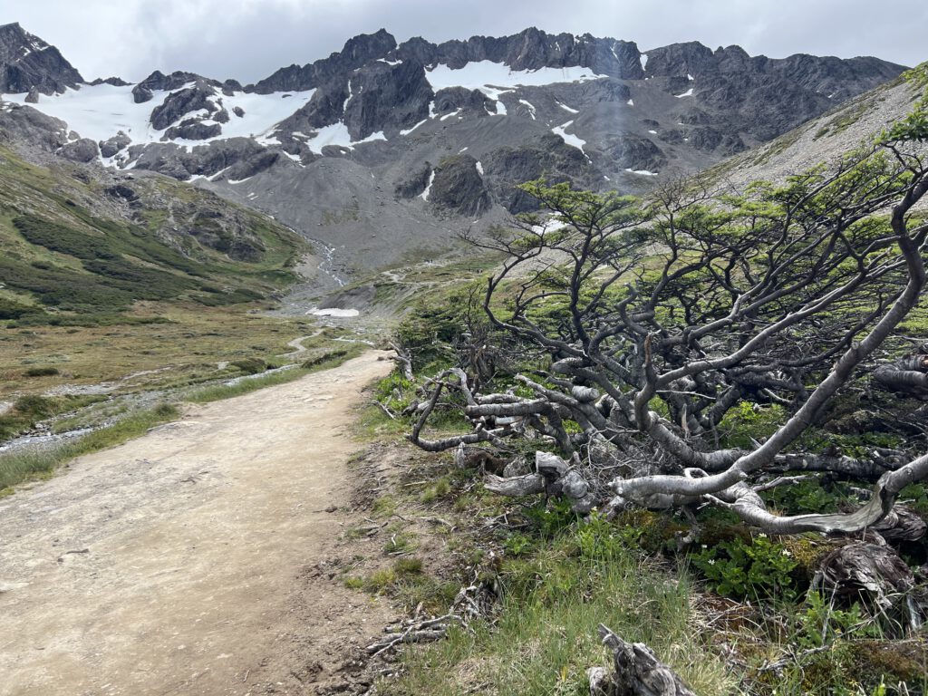 Wanderung zum Gletscher Martial