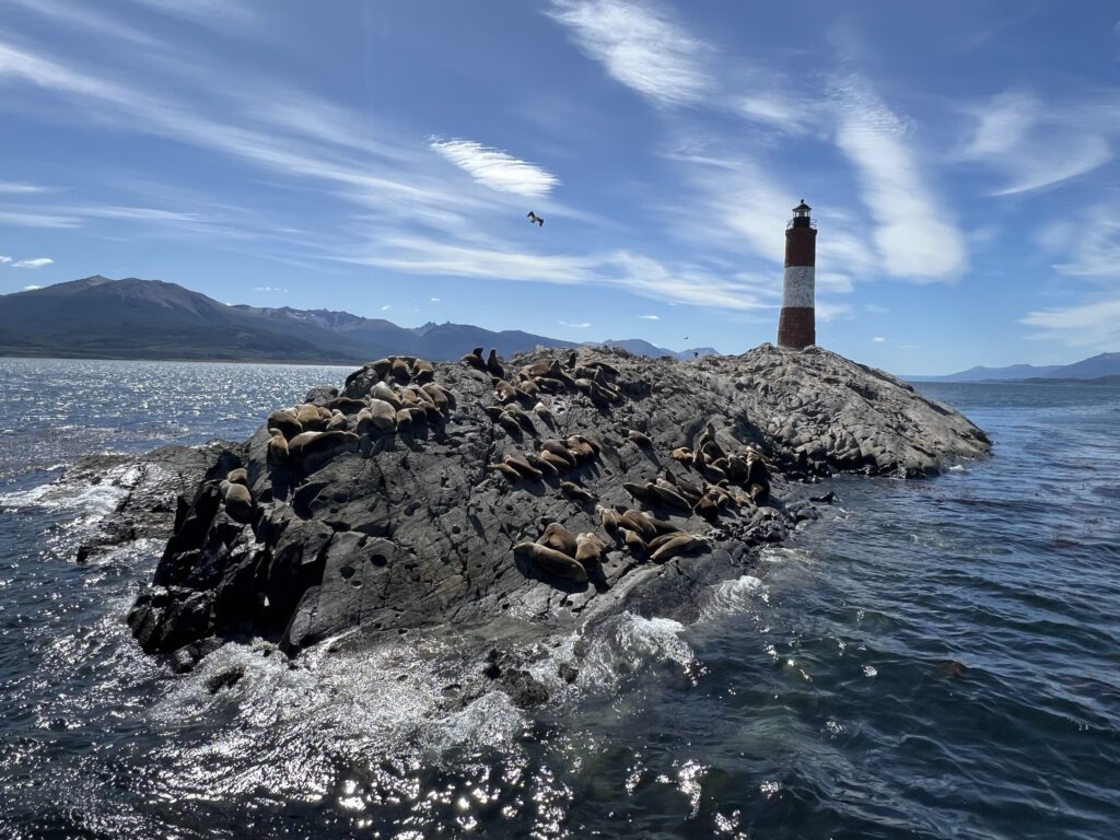 Leuchtturm Les Eclaireurs mit Seelöwen