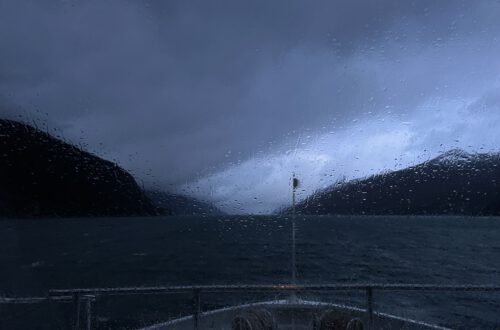 Venus Australis bei Nebel & Niesel