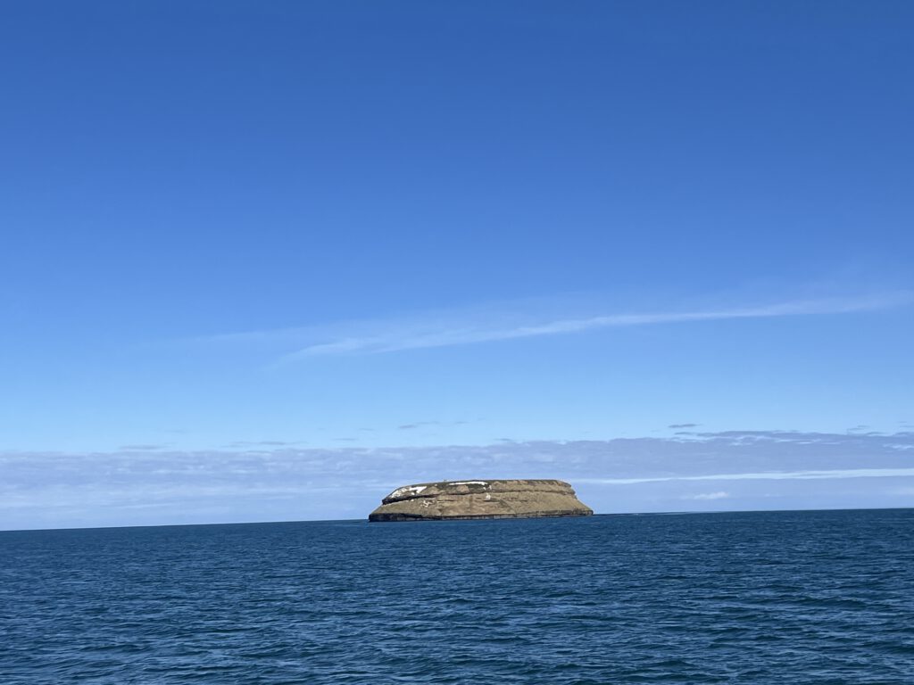 Puffin Island