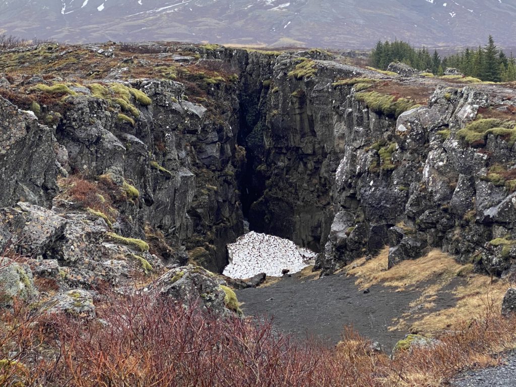 Felsspalte im Thingvellir
