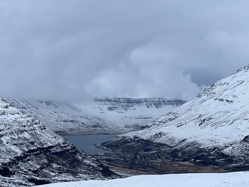 Blick auf Seyðisfjörður