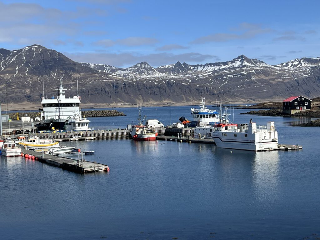 Hafen von Djupivogur