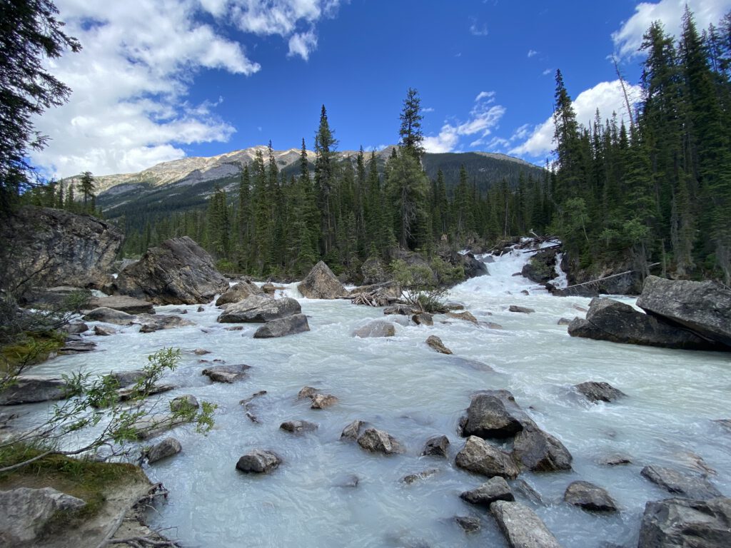 Meeting of the Waters Yoho NP
