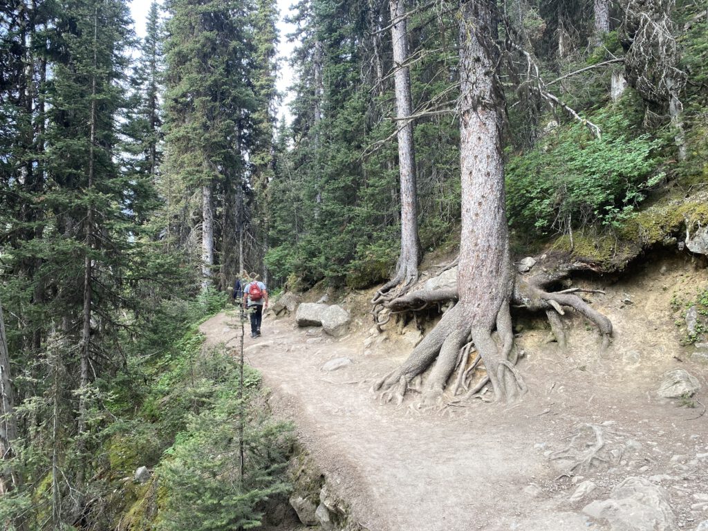 Lake Agnes Tea House Trail