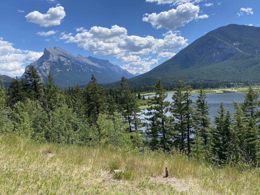 Vermilion Lakes mit Murmeltier