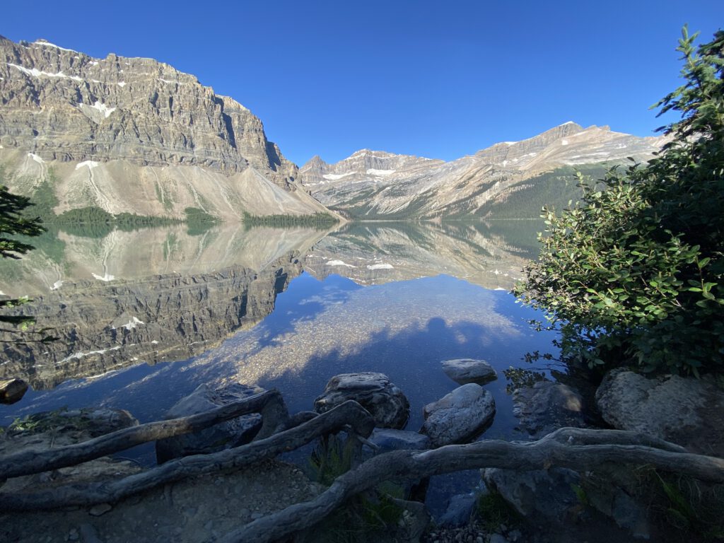 Bow Lake mit Ästen