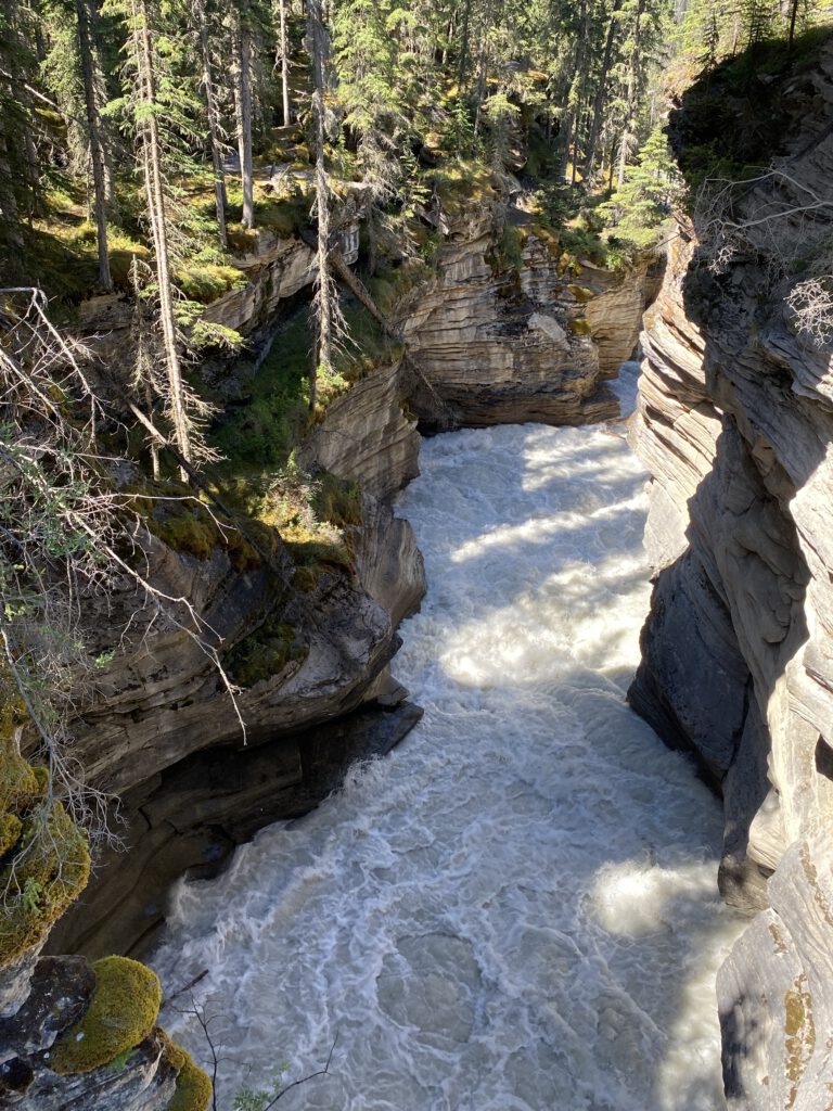 Schlucht bei Athabasca Falls