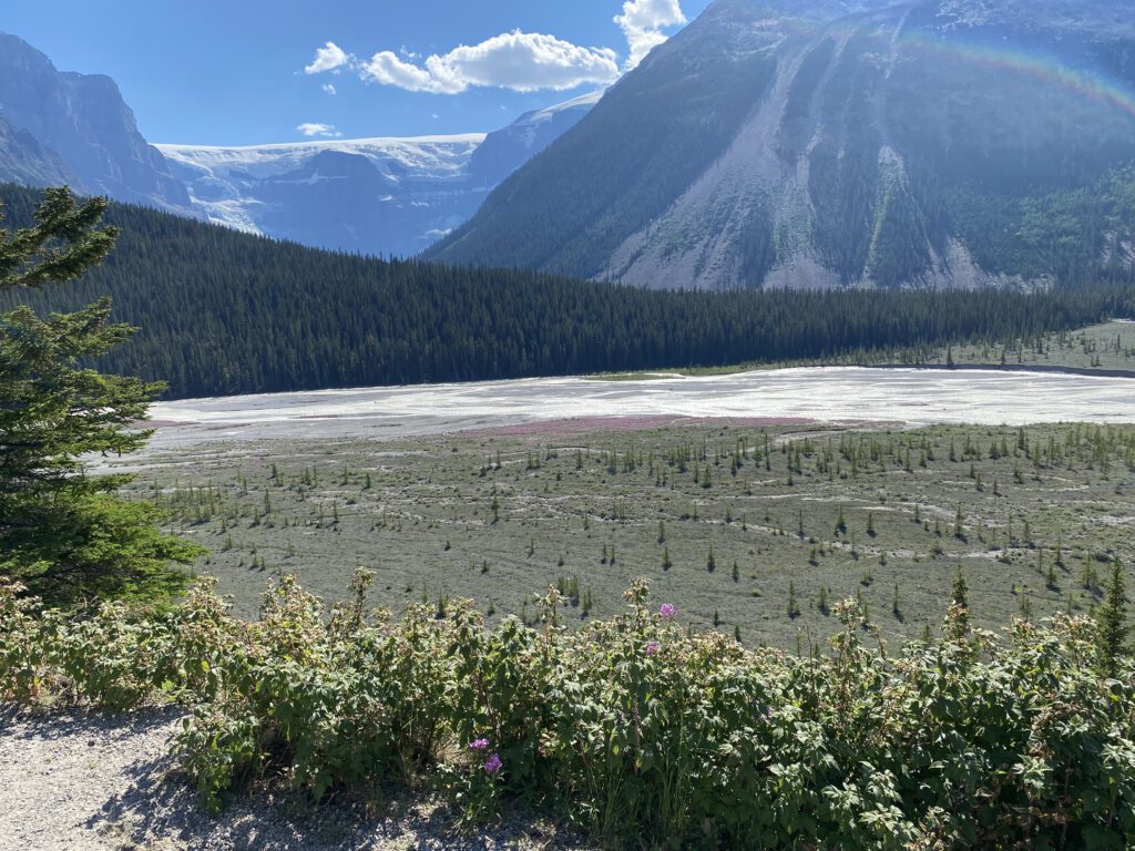 Landschaft im Jasper NP