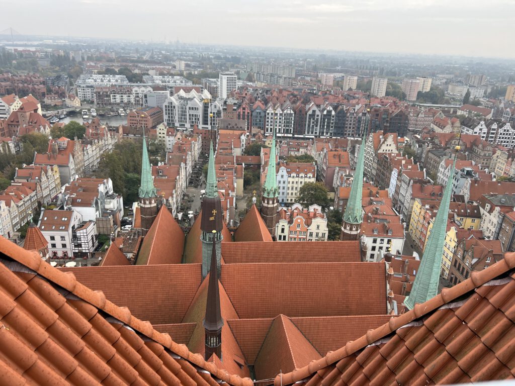 Aussicht vom Turm der Marienkirche