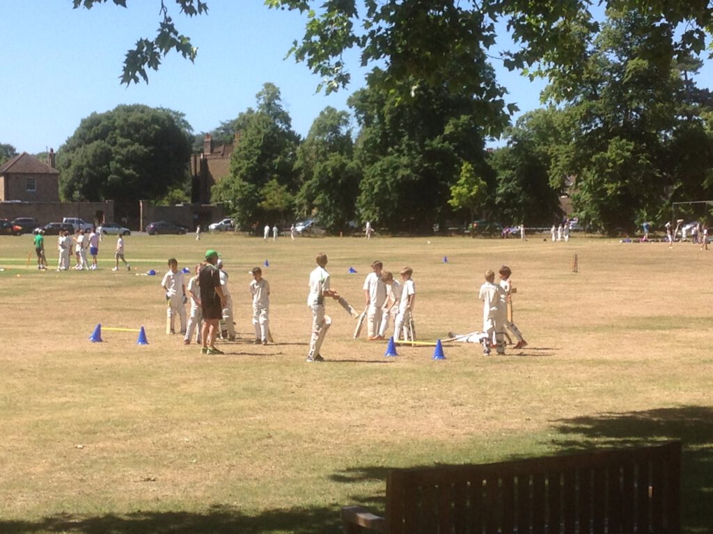Cricket in Kew Green
