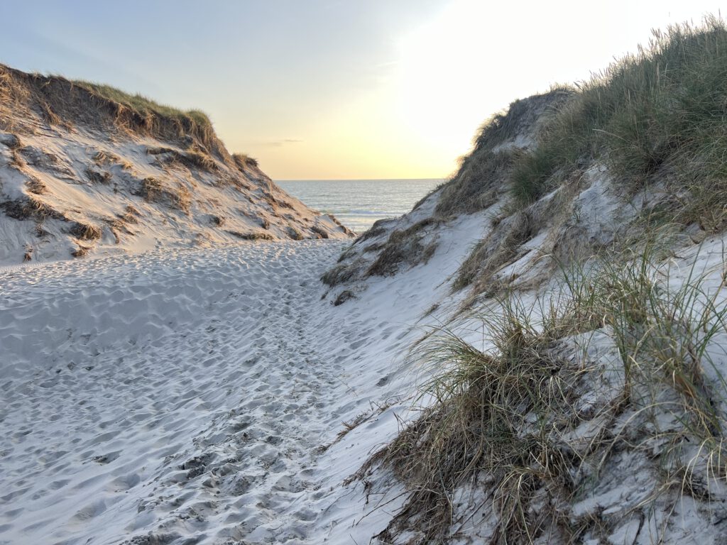 Dünen und Meer