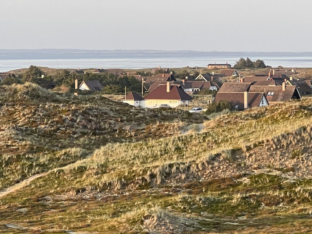 Bjerregård