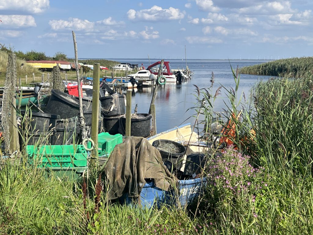 Vinterleje Havn