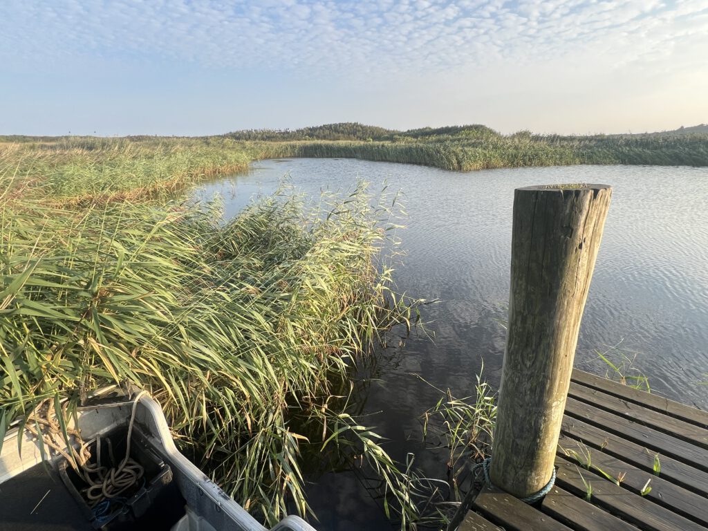 Skjern Enge