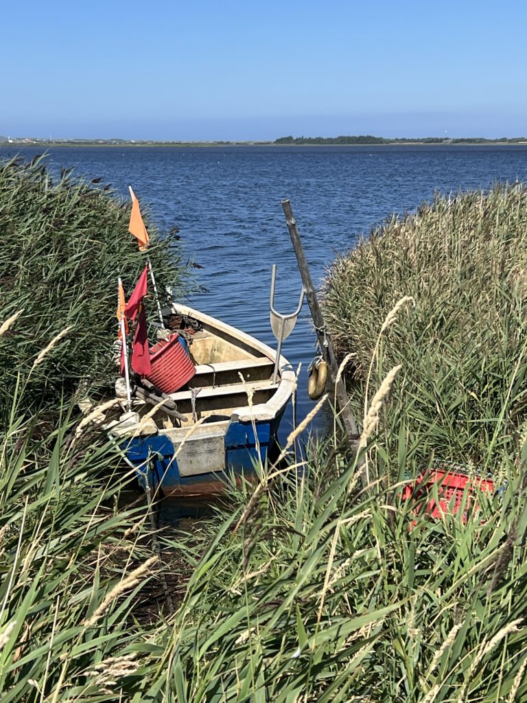 Boot bei Bagges Dæmning