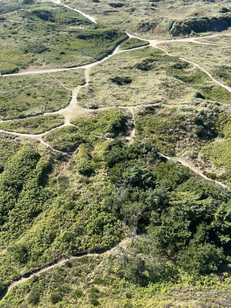Dünenlandschaft